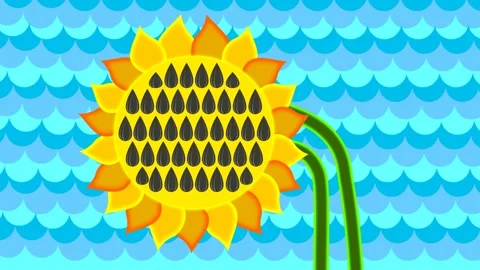 Summer, sea, sun. Stock Footage 150214712