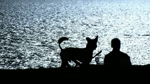 Summer Sea View Stock Footage 10909211