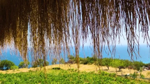 Summer Sea View Framed by Hanging Dried Reeds Stock Footage 322823894