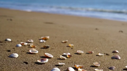 Summer sea waves beach background Stock Footage 110246995