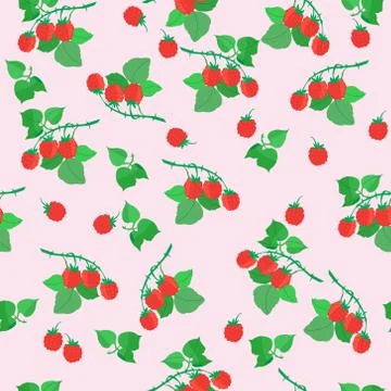 Summer seamless pattern with berries and leaves of wild raspberries, vector.. Stock Illustration