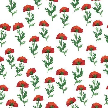 Summer seamless pattern with bright red poppy flowers and poppy pods. Field.. Stock Illustration