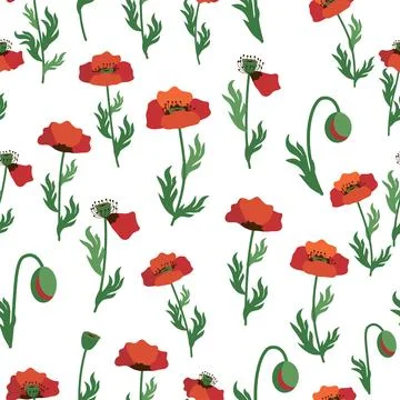Summer seamless pattern with bright red poppy flowers and poppy pods. Field,  Stock Illustration