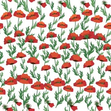 Summer seamless pattern with bright red poppy flowers and poppy pods. Field,  Stock Illustration