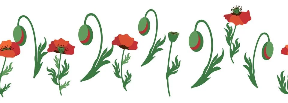 Summer seamless pattern with bright red poppy flowers and poppy pods. Garla.. Illustrazione stock