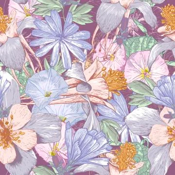 Summer seamless pattern with wildflowers. Stock Illustration