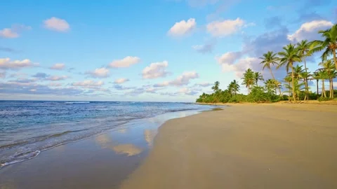 Summer seascape close-up. Idyllic evening seaside beach background.	 스톡 동영상 341557742