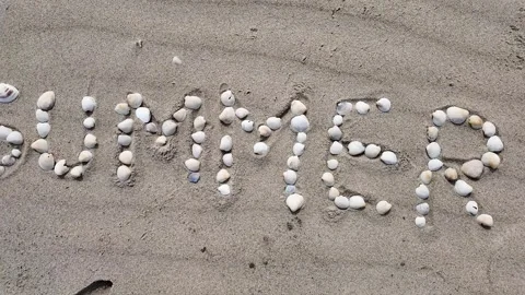 Summer Seashells on Sandy Beach Stock Footage 291393380