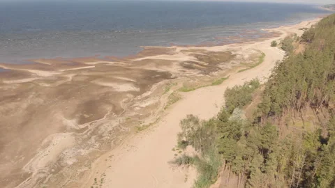 Summer Seashore Stock Footage 248716517