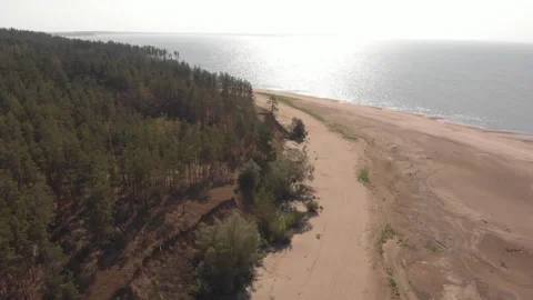 Summer Seashore Stock Footage 248717586