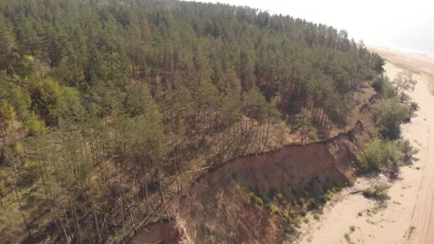 Summer Seashore Stock Footage 248718439