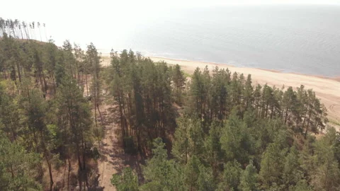 Summer Seashore Stock Footage 248854400