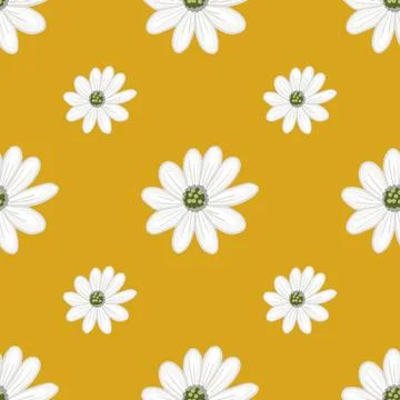 Summer season seamless pattern with simple white daisy flowers ornament. Yell Stock Illustration