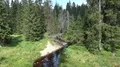 Summer season sunny day in mountain range Harz forest landscape region Oderteich 4k or 4k+ Resolution