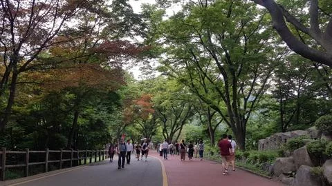 Summer in Seoul Stock Photos