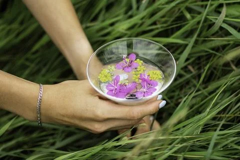 Summer Serenity Stock Photos