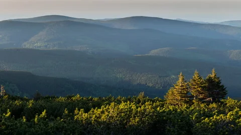 Summer shadows moving 8K Stock Footage 221365128