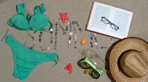 Summer shells Stock Footage 729040