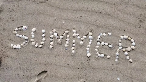 Summer Shells on Sandy Beach Stock Footage 291393351