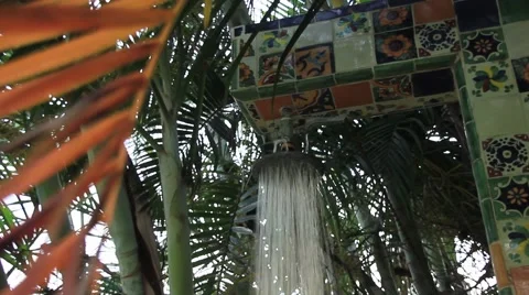 SUMMER SHOWER HEAD ON. A close-up of a shower head water spray under palm trees. Stock Footage 50224357