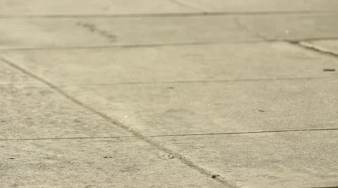 Summer Sidewalk Shadows Stock Footage 11441512