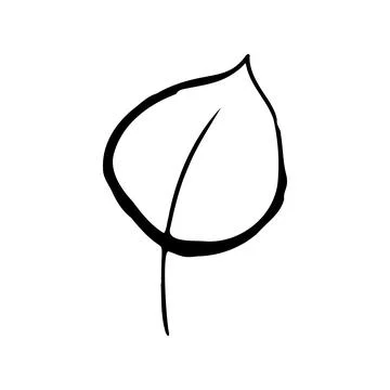 Summer sketch outline leaf. Hand drawn herb Stock Illustration
