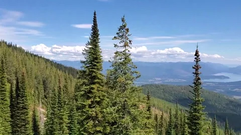 Summer Ski Lift Stock Footage 160233484