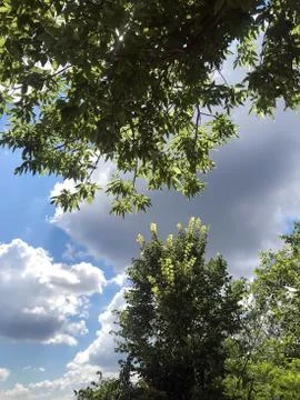 Summer sky with clouds Foto stock