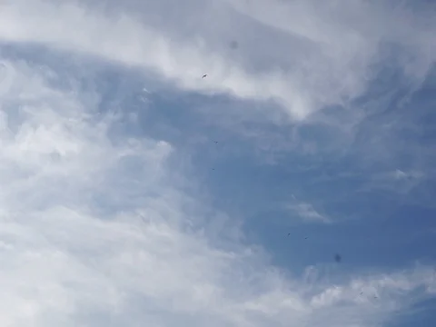 Summer sky Vídeo Stock 85599925