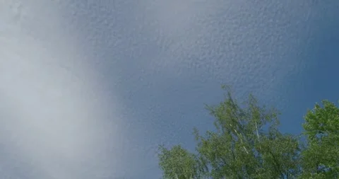 Summer sky overhead panning with cirrocumulus clouds Stock Footage 280034373