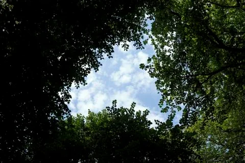 Summer Sky Stock Photos