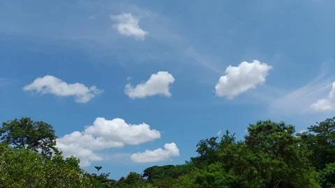 Summer Sky Stock Photos