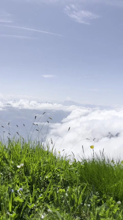 Summer slopes of Sntis with green meadows Stockbeeldmateriaal 306065903