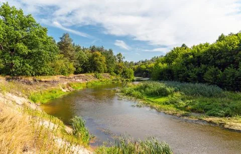 Summer on small river in forest Stock Photos