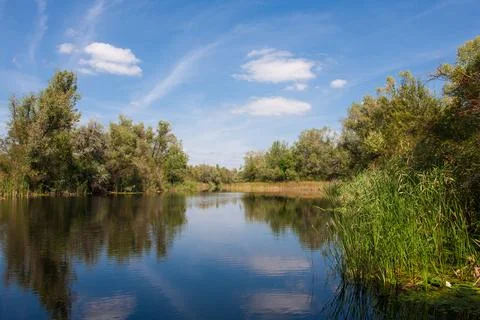Summer on small river Stock Photos