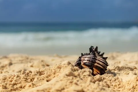 Summer snapshot Stock Photos
