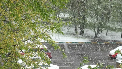 Summer snowfall Stock Footage 98993410