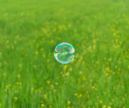 Summer soap bubble Stock Photos