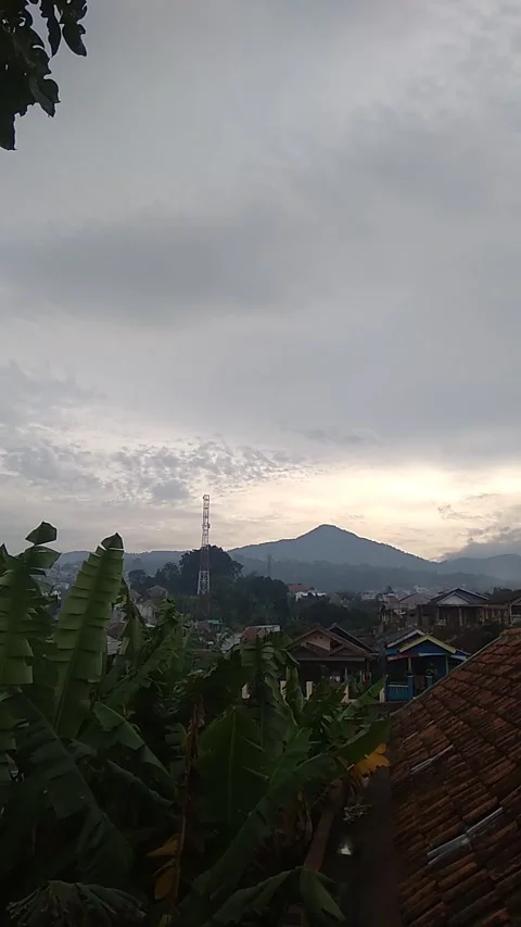 Summer solstice 2023 Video stock 200055968