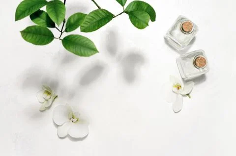 Summer spa background Stock Photos