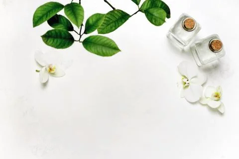 Summer spa background Stock Photos