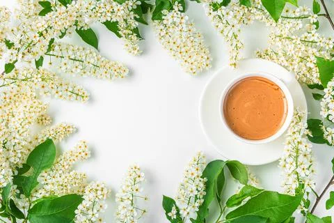 Summer-spring background with flowering branches and a cup of coffee on a whi Stock Photos