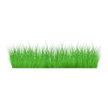 Summer, spring green grass and lawn border on isolated background in realistic 스톡 일러스트