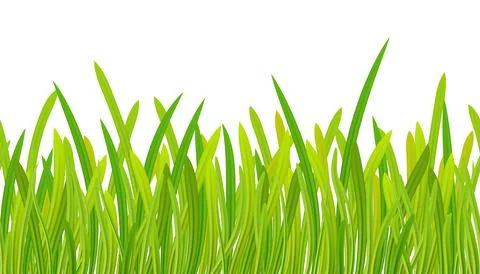 Summer. Spring. Green grass seamless pattern, spring fresh grass. Border gras イラスト素材