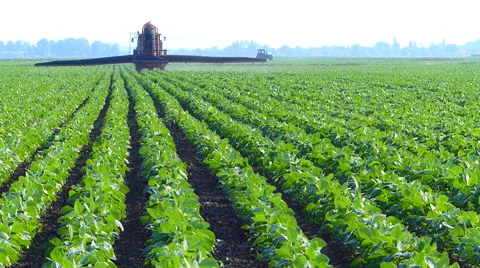 Summer sprinkling of soybean field. Stock Footage 51751185