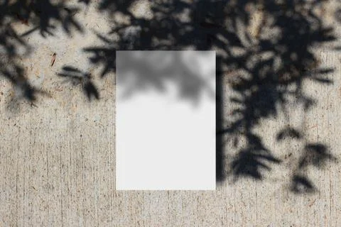 Summer stationery mock-up scene. Blank greeting card with tree leaf and branches Fotos Stock
