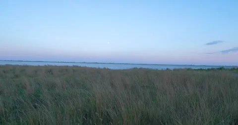 Summer steppe Stock Footage 139132315