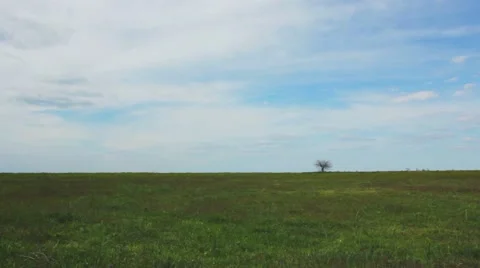 Summer steppe landscape Stock Footage 49777522