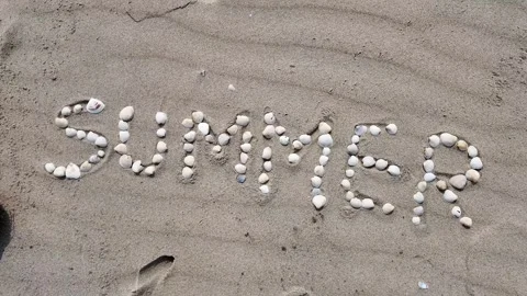 Summer Stones on Sandy Beach Stock Footage 291393365