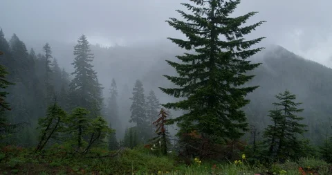 Summer storm passing through rugged terrain below Mt. Jefferson in Oregon 動画素材 86529507